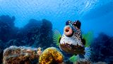 The Comedy Wildlife Photography Awards 2021/Philipp Stahr