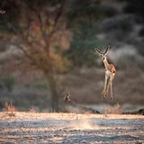 The Comedy Wildlife Photography Awards 2021/Lucy Beveridge