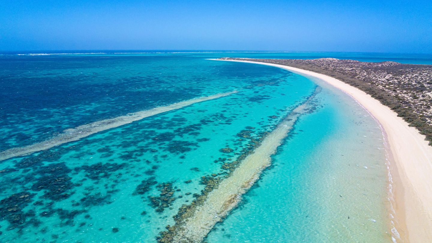 Ningalo Reef, Australien