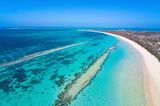 Ningalo Reef, Australien
