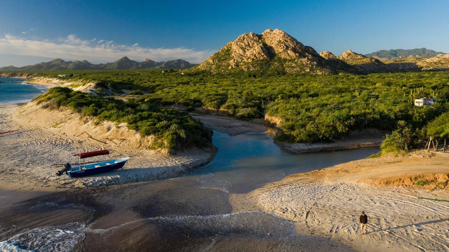 Das Wunder von Cabo Pulmo: Das Boot am Strand von Cabo Pulmo bringt Tauchtouristen aufs Meer hinaus. Vor Jahren lagen hier, an der Südspitze der Halbinsel Baja California, noch Fischerboote im Sand Das Boot am Strand von Cabo Pulmo bringt Tauchtouristen aufs Meer hinaus. Vor Jahren lagen hier, an der Südspitze der Halbinsel Baja California, noch Fischerboote im Sand
