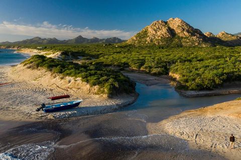 Das Boot am Strand von Cabo Pulmo bringt Tauchtouristen aufs Meer hinaus. Vor Jahren lagen hier, an der Südspitze der Halbinsel Baja California, noch Fischerboote im Sand