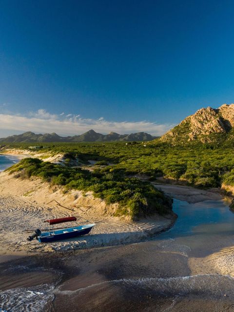 Das Boot am Strand von Cabo Pulmo bringt Tauchtouristen aufs Meer hinaus. Vor Jahren lagen hier, an der Südspitze der Halbinsel Baja California, noch Fischerboote im Sand