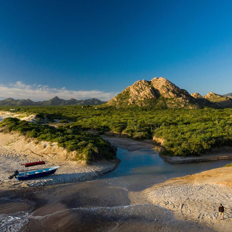 Das Boot am Strand von Cabo Pulmo bringt Tauchtouristen aufs Meer hinaus. Vor Jahren lagen hier, an der Südspitze der Halbinsel Baja California, noch Fischerboote im Sand