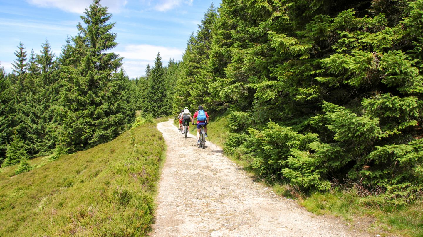 Harz