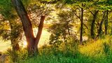26.05.2021      "Nach einem Sturm mit heftigen Regengüssen kämpft sich die goldene Abendsonne über dem Rheinufer hervor."  Kamera: Samsung Galaxy S10e