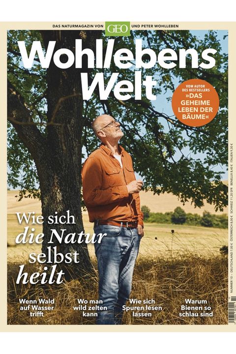 Wohllebens Welt
