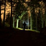 Mann wandert mit Taschenlampe durch die Dunkelheit im Wald