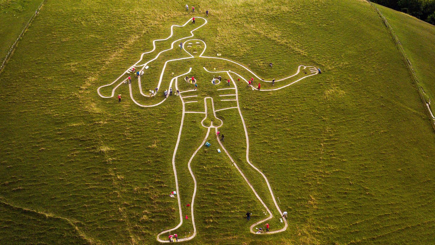 Wie groß der Riese von Cerne Abbas wirklich ist, wird auch aus der Luft erst durch die vielen Freiwilligen deutlich, die seine Umrisse zuletzt 2019 von wucherndem Gras befreit haben. Neueste Untersuchungen deuten darauf hin, dass die Konturen zwischen 700 und 1100 unserer Zeitrechnung in den Boden gescharrt worden sind