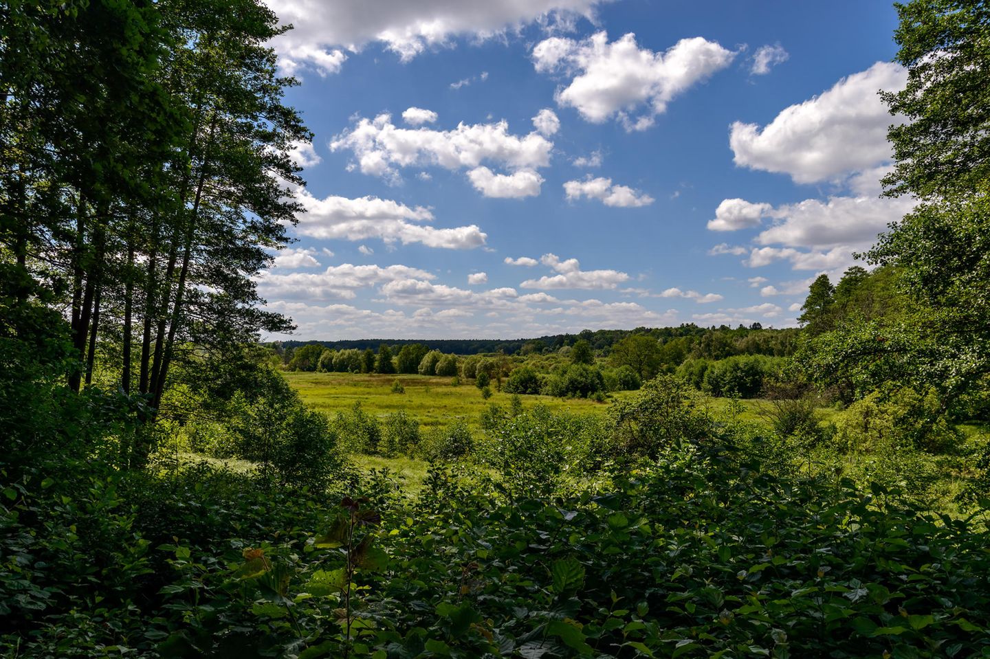 Von Strausberg nach Erkner Blick auf Lange Dammwiesen
