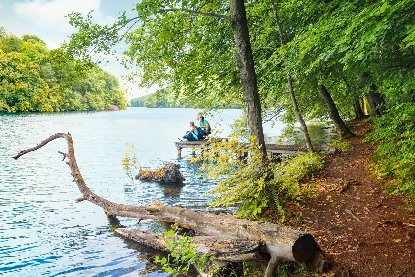 Schmaler Luzin, Feldberger Seenlandschaft Schmaler Luzin, Feldberger Seenlandschaft