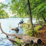 Schmaler Luzin, Feldberger Seenlandschaft