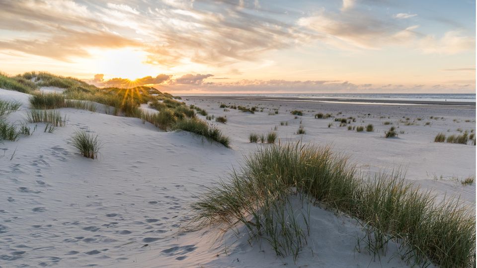 Strand mit Dünen und Dünengras auf Baltrum