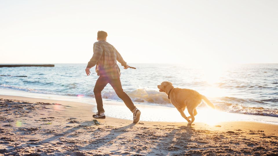 Mann läuft mit Hund bei Sonnenaufgang am Strand entlang