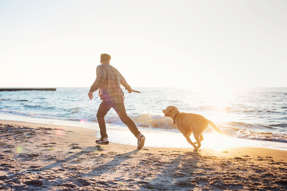 Mann läuft mit Hund bei Sonnenaufgang am Strand entlang Mann läuft mit Hund bei Sonnenaufgang am Strand entlang