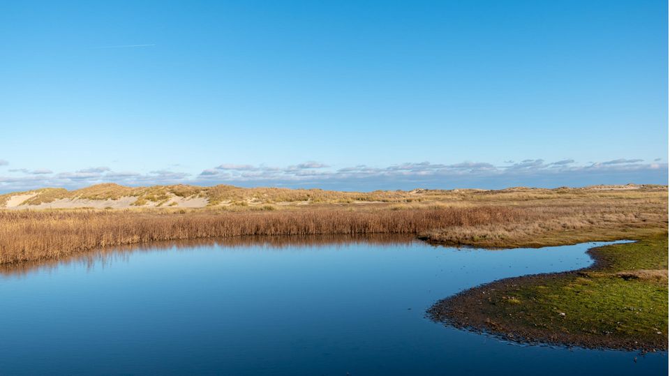 Landschaft mit Feldern und Teich auf Norderney