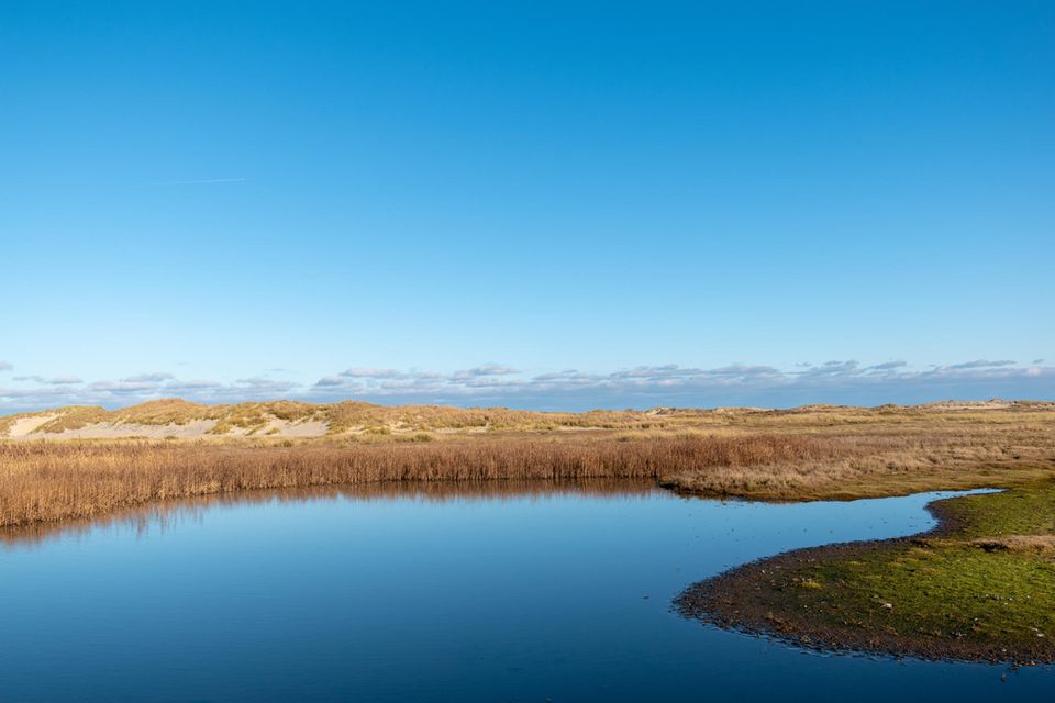 Landschaft mit Feldern und Teich auf Norderney
