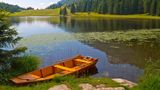 Blick auf den Seewaldsee