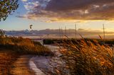 Blick auf den Neusiedler See