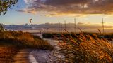 Blick auf den Neusiedler See