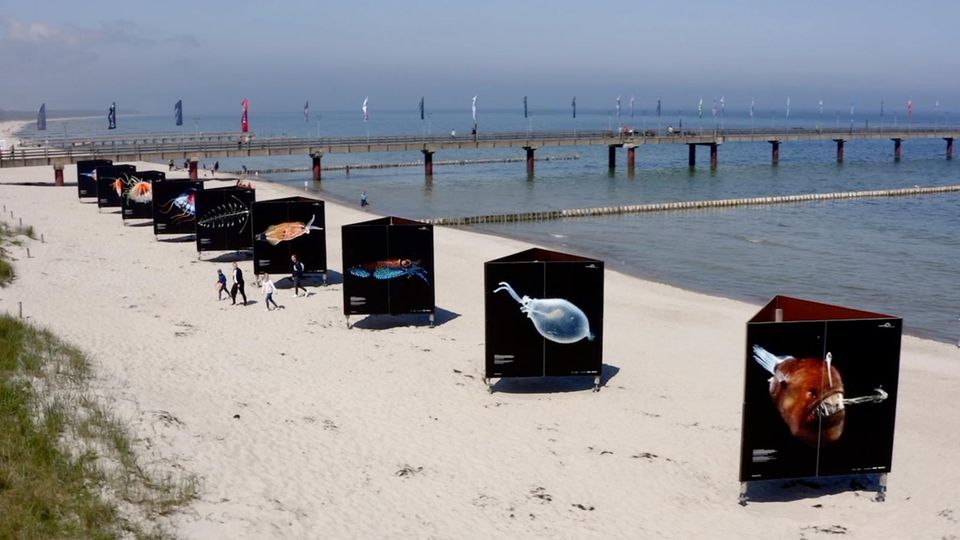 Solvin Zankl im Interview mit Jens Schröder - Umweltfotofestival "horizonte zingst"