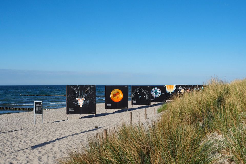 Das 14. Umweltfotofestival "Horizonte" beinhaltet 15 Indoor-, Open-Air- und digitale Ausstellungen, die im ganzen Ort Zingst verteilt sind. Die GEO-Ausstellung mit Bildern von Solvin Zankl wird direkt am Strand gezeigt