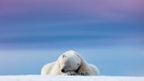 Dennis Stogsdill/Nature TTL Photographer of the Year 2021