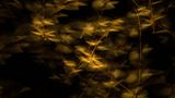 James Gifford/Nature TTL Photographer of the Year 2021