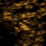 James Gifford/Nature TTL Photographer of the Year 2021