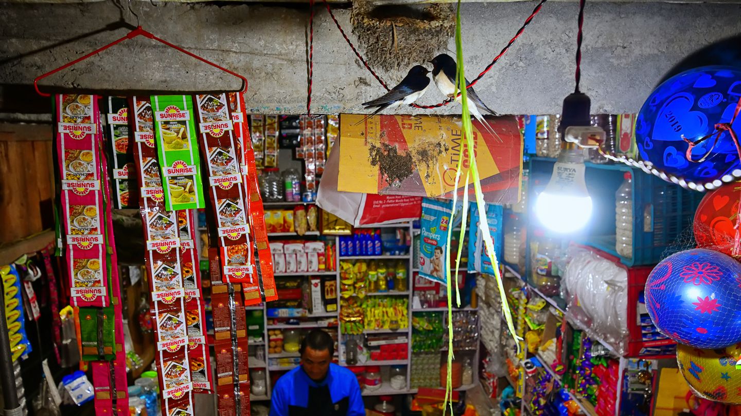 Kallol Mukherjee/Nature TTL Photographer of the Year 2021 Kallol Mukherjee/Nature TTL Photographer of the Year 2021