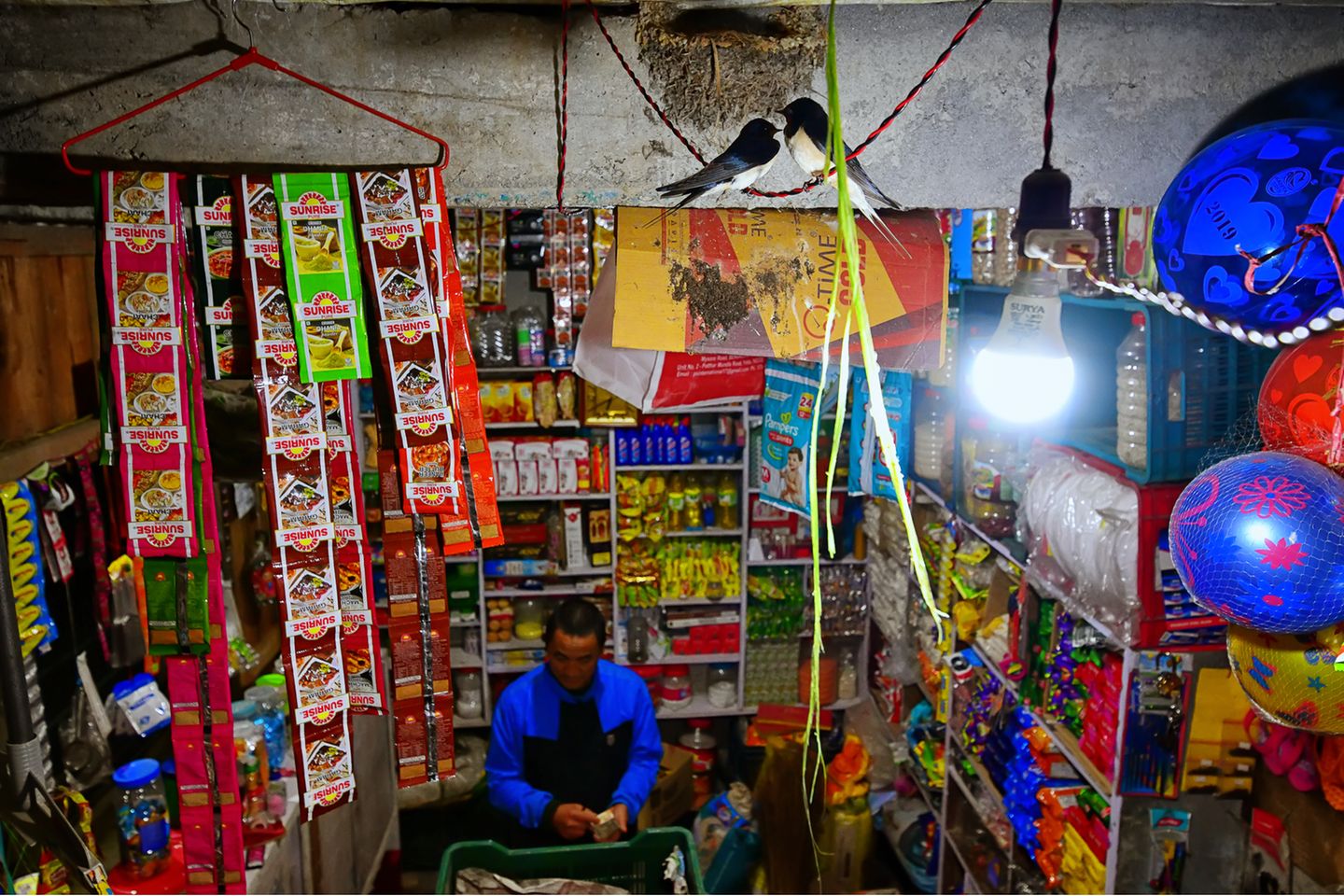 Kallol Mukherjee/Nature TTL Photographer of the Year 2021