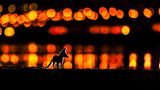 Mohammad Murad /Nature TTL Photographer of the Year 2021