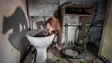 James Roddie//Nature TTL Photographer of the Year 2021