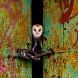 Jose Luis Ruiz Jimenez/Nature TTL Photographer of the Year 2021