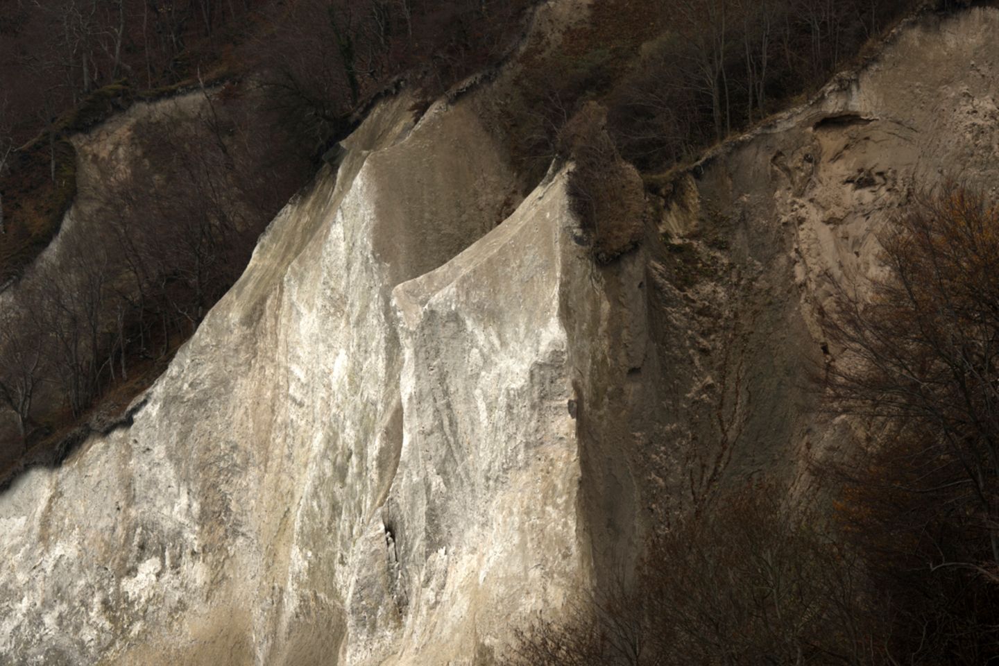 Nationalpark Jasmund Staub, Algen und Erdbrocken zeichnen Spuren in die Kreidefelsen. Im Winter zieht Frost in die oberste Kruste ein und verwandelt sie in einen Panzer. Sobald die Schmelze einsetzt, blättert die Außenschicht ab, und die Kreidefelsen leuchten wieder weiß, als stünden sie im Schnee