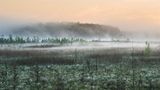 Blick auf den Großen Serrahnsee frühmorgens im Mai: Wenn die Nächte noch kalt sind, die Tage wärmer als 15 Grad und kein Wind über das Land streicht, tanzen die Nebel zum Sonnenaufgang auf den Feuchtwiesen. Hunderttausend weiße Wollgras-Blüten strecken sich zum Licht