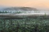 Blick auf den Großen Serrahnsee frühmorgens im Mai: Wenn die Nächte noch kalt sind, die Tage wärmer als 15 Grad und kein Wind über das Land streicht, tanzen die Nebel zum Sonnenaufgang auf den Feuchtwiesen. Hunderttausend weiße Wollgras-Blüten strecken sich zum Licht