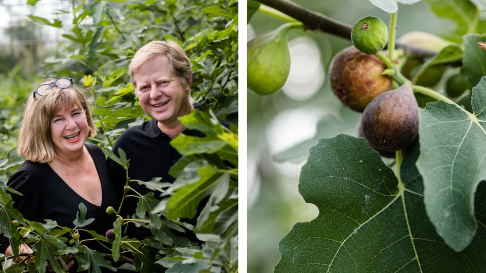 Genusshochburgen: Wien, Graz, Innsbruck, Salzburg: Kultur- und Genusstipps für Österreichs Städte-Perlen Genusshochburgen: Wien, Graz, Innsbruck, Salzburg: Kultur- und Genusstipps für Österreichs Städte-Perlen