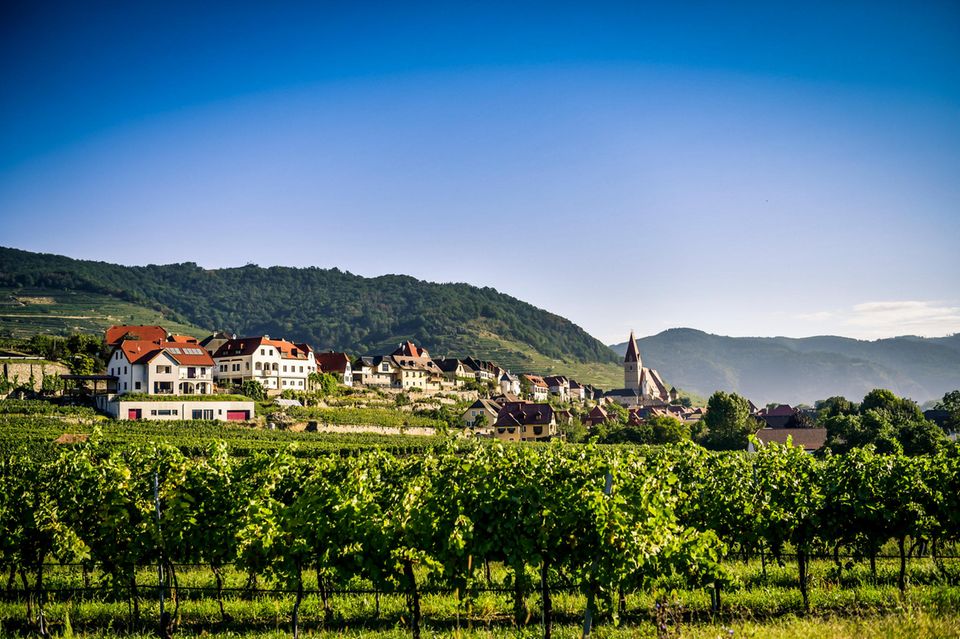 Landschaften der Wachau Landschaften der Wachau