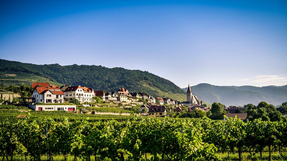 Landschaften der Wachau
