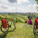 Zwei Fahrräder stehen auf einer Wiese
