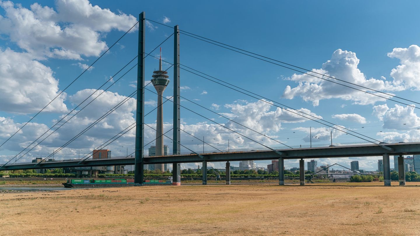 Hitzesommer wie 2018 - hier der Rhein bei Düsseldorf - werden Deutschland bis Mitte des Jahrhunderts häufiger heimsuchen. Das Klima der Rhein-Metropole ist dann dem kroatischen Rijeka vergleichbar