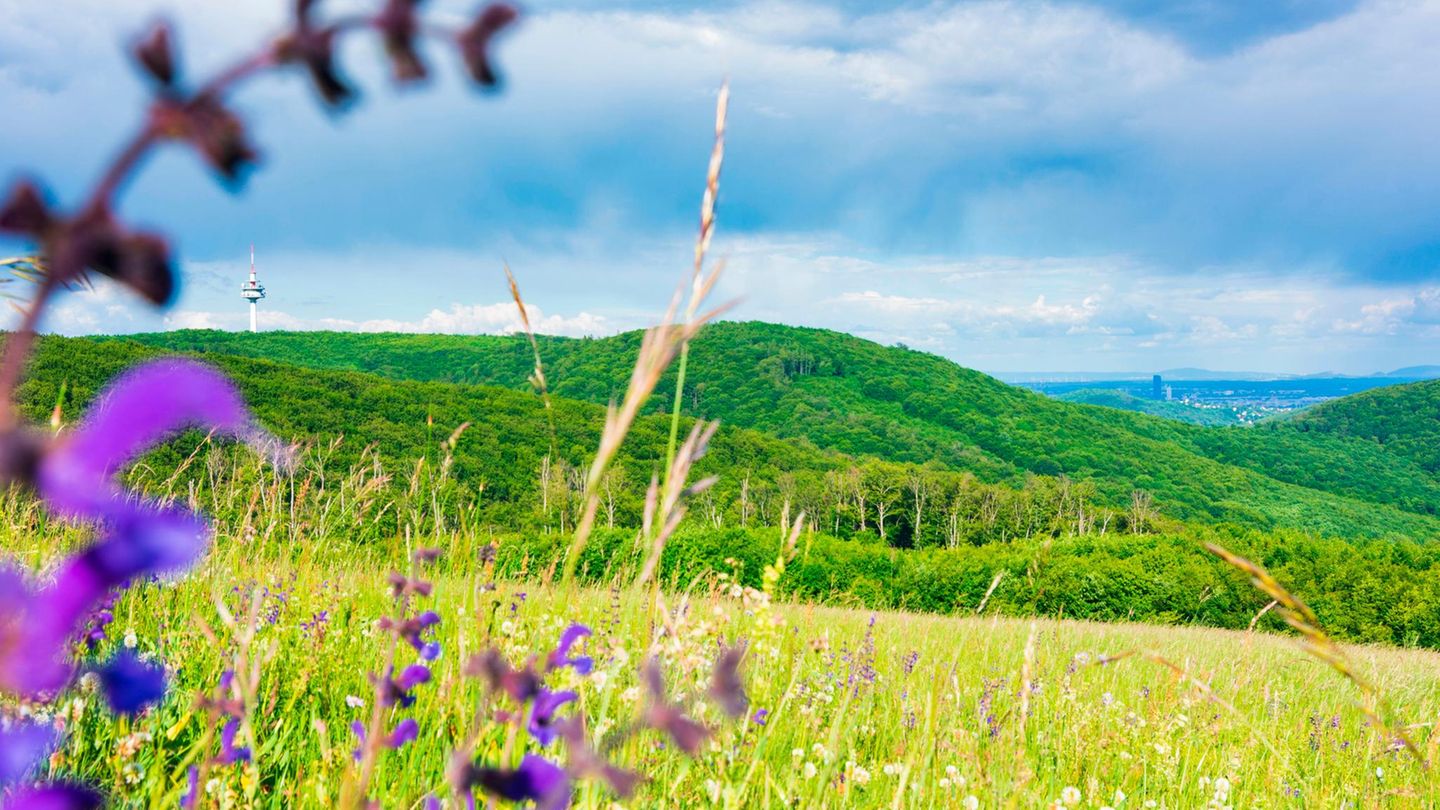 Wien – Sophienalpe Blick von der Sophiealpe Wien