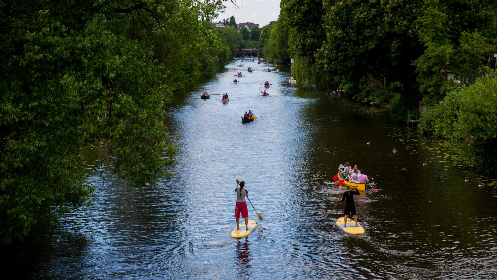 Nicht nur auf den Alsterkanälen in Hamburg wird es im Sommer voll