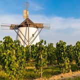 Windmühle in den Weinbergen von Retz