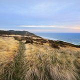 "Die Wüste" auf der dänischen Insel Anholt