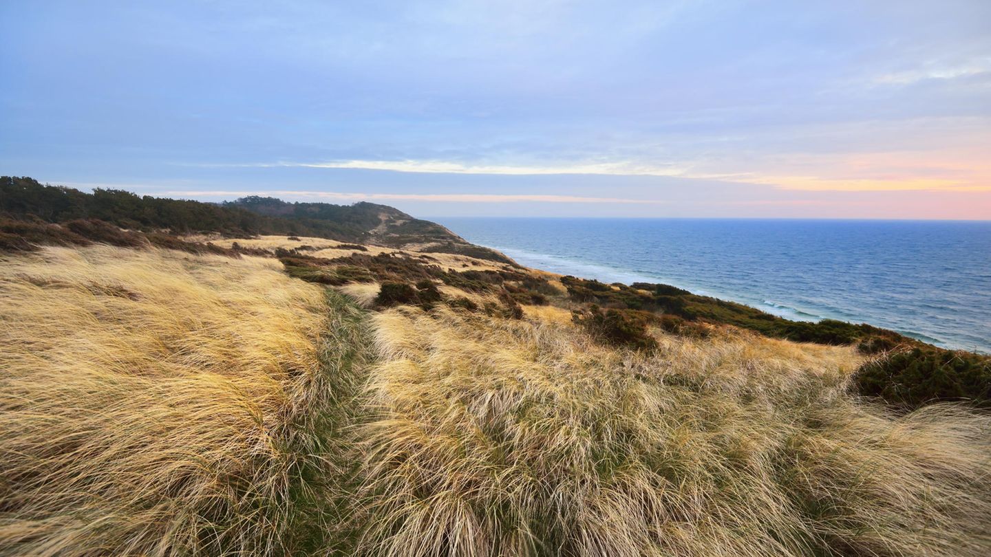 Dünenlandschaft "Die Wüste" auf der dänischen Insel Anholt