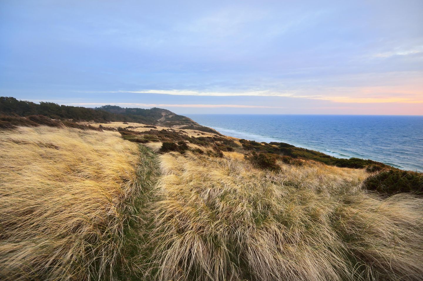 Dünenlandschaft "Die Wüste" auf der dänischen Insel Anholt