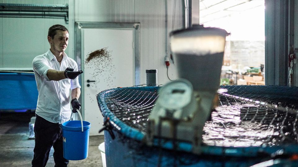 Lukas Normann in der Anlage der Fischzucht