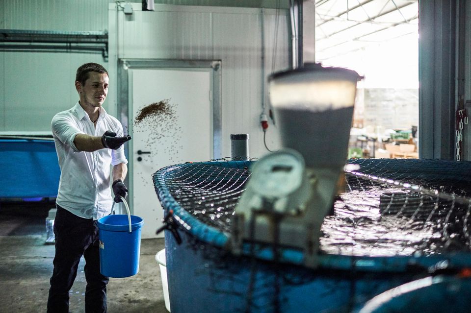Lukas Normann in der Anlage der Fischzucht